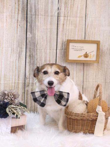 20241022こはるちゃん